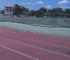 Coupon 🧨 Blazer Duo Overspeed Harness Training Aid 🎉