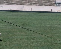 Best deal 🔥 Blazer Quick Explode Sled Football Trainer 👏