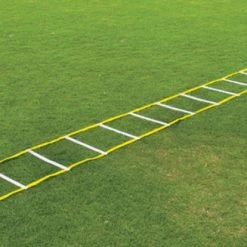 Outlet 🛒 Fisher 20' Single Speed Ladder 🔔